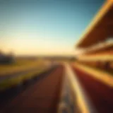 A panoramic view of Epsom Race Track during a race event