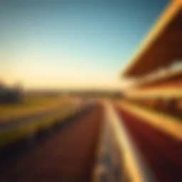 A panoramic view of Epsom Race Track during a race event